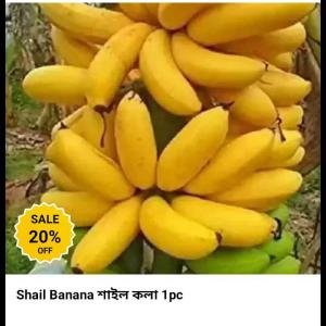 Banana